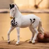 schleich HORSE CLUB Marwari ērzelis, 5 gadi, Zirgi, Daudzkrāsains
