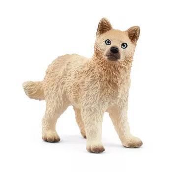 schleich WILD LIFE Arktiskā vilka mazulis, 3 gadi, Ledus un okeāns, Savvaļas dzīvnieki / piedzīvojumu rotaļlietas, Daudzkrāsains