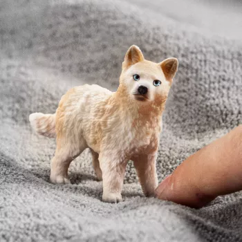 schleich WILD LIFE Arktiskā vilka mazulis, 3 gadi, Ledus un okeāns, Savvaļas dzīvnieki / piedzīvojumu rotaļlietas, Daudzkrāsains