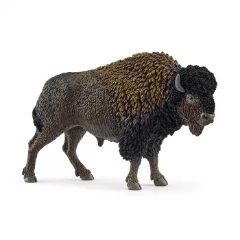 schleich WILD LIFE Bizons, 3 gadi, Safari, Savvaļas dzīvnieki / piedzīvojumu rotaļlietas, Daudzkrāsains