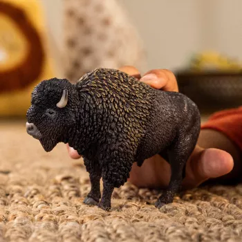 schleich WILD LIFE Bizons, 3 gadi, Safari, Savvaļas dzīvnieki / piedzīvojumu rotaļlietas, Daudzkrāsains