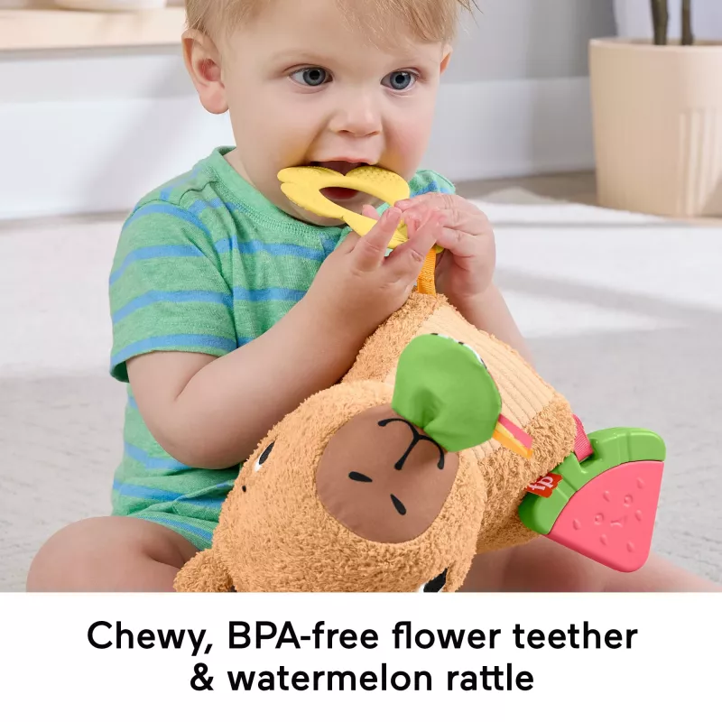 Rotaļu kapibara Fisher-Price Snuggly Snacky Capy 0,5 gadi