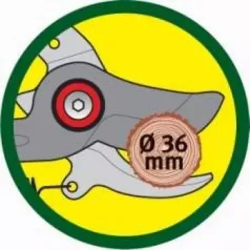 Atzarošanas šķēres WOLF-Garten RR-VM