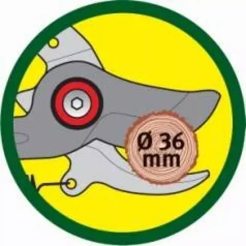 Atzarošanas šķēres WOLF-Garten RR-VM