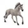 Schleich FARM WORLD Sorraia Mustang ērzelis figūra