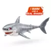 Rotaļlietu haizivs robots Zuru Robo Alive Great White Shark 71126 — spēlēšanai ūdenī interaktīva ar baterijām darbināma figūra