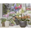 Izsmidzinātājs ar sūkni Gardena 11114-20