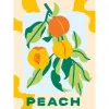 Gleznošanas komplekts Ravensburger CreArt — Peaches (radošs gleznošanas komplekts, modelis 25517)
