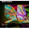 Hisense 85E77Q PRO 2.16 m (85 collas) 4K Ultra HD Smart TV Wi-Fi Melns