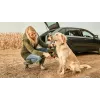 Bosch Fontus 18V spiediena mazgātājs vertikāls ar akumulatoru