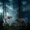 Schleich Wizarding World rotaļu komplekts Harijs Poters Vilkačs pret animagu figūriņas, kolekcionējamas figūriņas