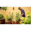 Bosch GardenPump18V-2000 (1x2,5 Ah) 2000 l/h