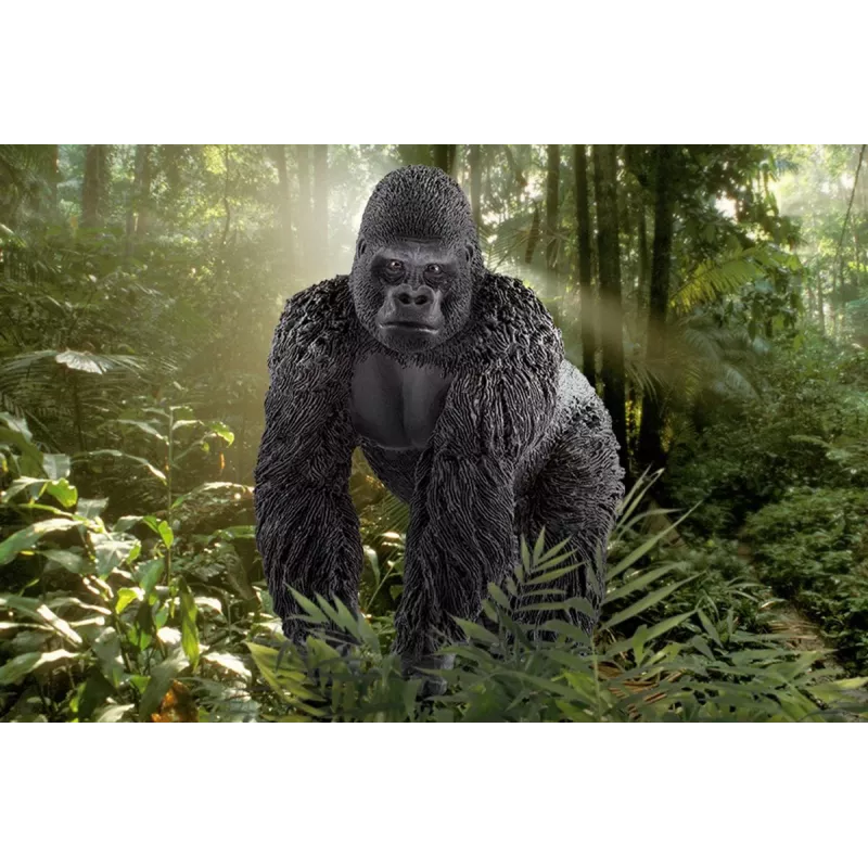 schleich WILD LIFE Gorilla, tēviņš, 3 gadi, Džungļi, Savvaļas dzīvnieki / piedzīvojumu rotaļlietas, Daudzkrāsains, Plastmasa