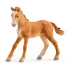 schleich HORSE CLUB Pieezera jāšanas centrs, Ferma, Zirgu stallis, Zirgi, 5 gadi, Daudzkrāsains, Plastmasa