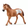 schleich Rotaļa ar komandu virvēšanā – kovbojmeitene, 3 gadi, daudzkrāsains