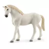Horse Stall Extension Schleich HORSE CLUB 42569 Daudzkrāsains