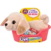 Moose Toys Little Live Pets My Really Real Puppy Mini's - Zelta retrīveru kucēns Badejs