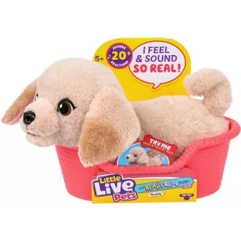 Moose Toys Little Live Pets My Really Real Puppy Mini's - Zelta retrīveru kucēns Badejs