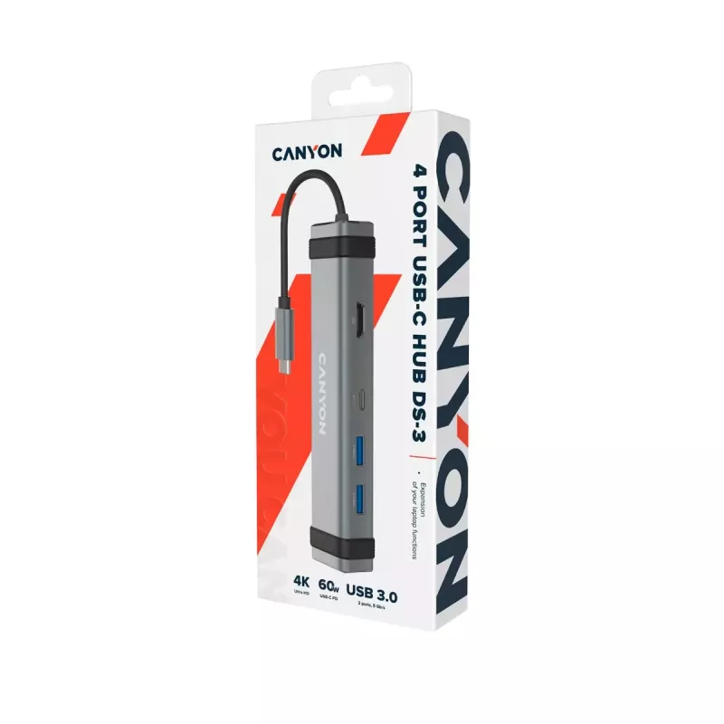 Canyon DS-3 USB 3.2 Gen 1 Type-C pelēks 4K Ultra HD