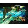 TV Samsung OLED 48 collas S90F 4K UHD (3840x2160), 120 Hz, HDR10+ Adaptive, Tizen, 2.1ch 40W