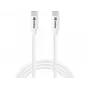 Sandberg USB-C USB-C 65W 1M SAVER, 1 m, USB C, USB C, USB 2.0, balts