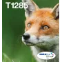 Inkjet multipack tintes kasetnes Epson Fox T128 EasyMail — 4 colours (Melns 5.9 ml; ciāna/fuksīna/dzeltena 3.5 ml)