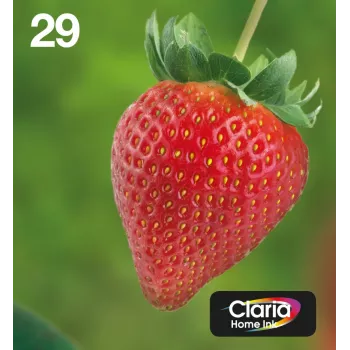 Epson Strawberry Multipack 4-krāsu 29 EasyMail, standarta ietilpība, melna, ciāna, fuksīna, dzeltena, 5,3 ml, 3,2 ml, 1 gab., daudzkrāsu iepakojums