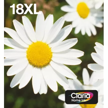 Epson Daisy Multipack 4-krāsu 18XL EasyMail, augsta (XL) ietilpība, melna, ciāna, fuksīna, dzeltena, 11,5 ml, 6,6 ml, 1 gab., daudzpaka