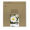 Epson Daisy Multipack 4-krāsu 18XL EasyMail, augsta (XL) ietilpība, melna, ciāna, fuksīna, dzeltena, 11,5 ml, 6,6 ml, 1 gab., daudzpaka
