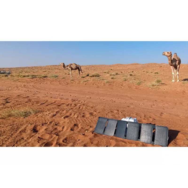 Sandberg Solar Charger 40W QC3.0+PD+DC, āra, saules, melns