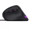 Trust GXT 144 Rexx pele Spēlēm Labās rokas USB A tips Optiskais 10000 DPI