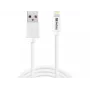 Sandberg USB-A uz Lightning MFI 1M, 1 m, Lightning, USB A, balts, taisns, taisns