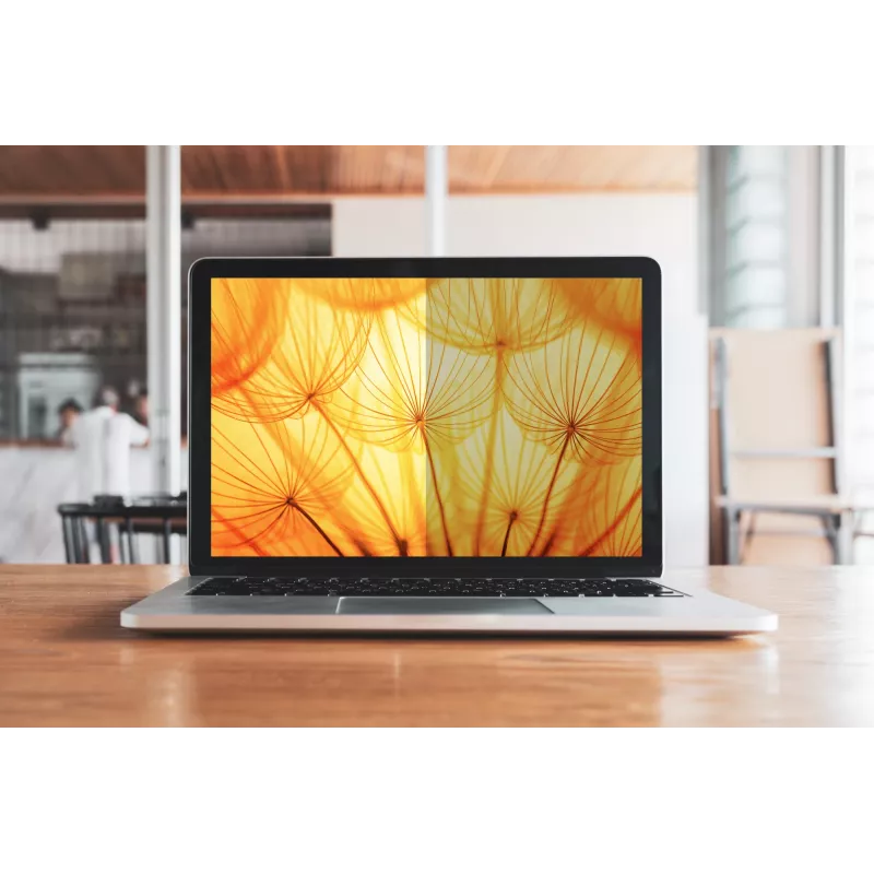 3M Bright Screen Privacy Filter for Microsoft® Surface® Pro 4, 5, 6, 7 12.3in, 3:2, BPTMS001
