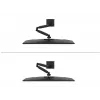 Neomounts DS60-600BL1 monitora statīvs 10-32 collas - Quick-fix - 180°-apturētājs