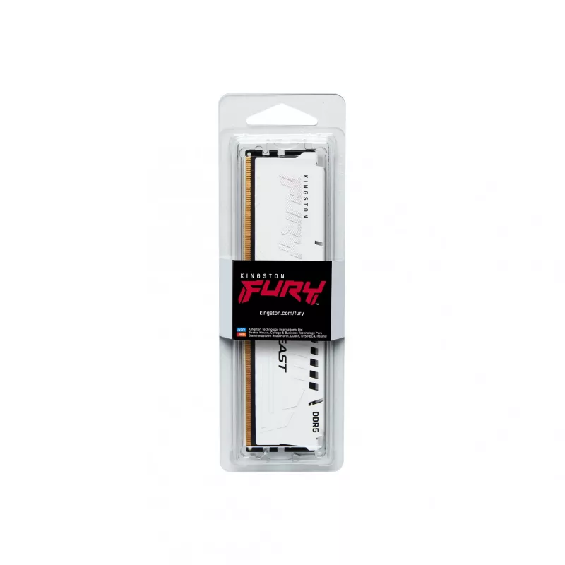 Kingston Technology FURY Beast 16 GB 6000 MT/s DDR5 CL36 DIMM balts EXPO