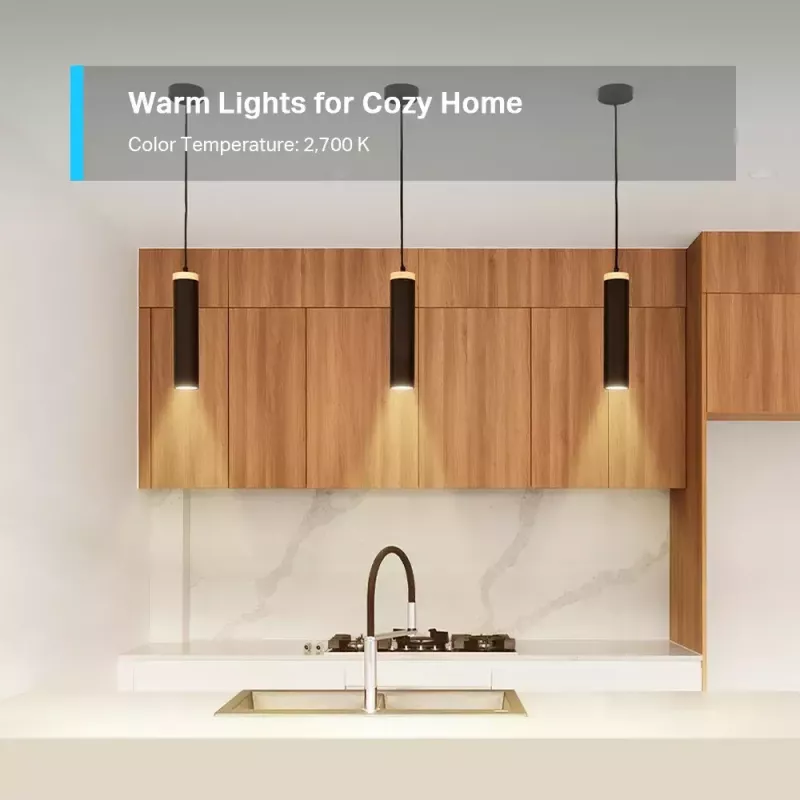Smart bulb TP-Link Tapo L610 Wi-Fi Dimmable balta