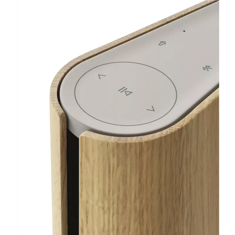 Pārnēsājams skaļrunis Bang & Olufsen Beosound Emerge brūns