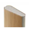 Pārnēsājams skaļrunis Bang & Olufsen Beosound Emerge brūns