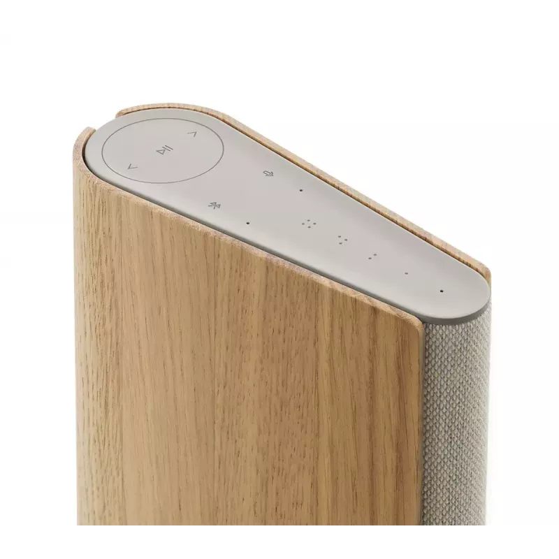 Pārnēsājams skaļrunis Bang & Olufsen Beosound Emerge brūns