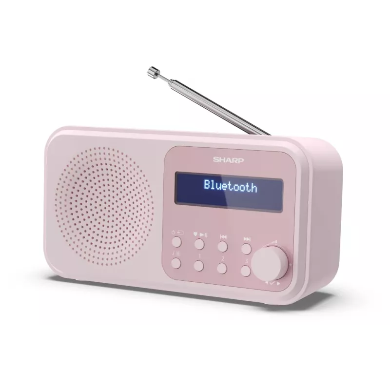 Portable Radio Sharp DR-P420 Digital Tuner DAB DAB+ FM Pink