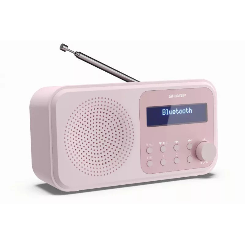 Portable Radio Sharp DR-P420 Digital Tuner DAB DAB+ FM Pink