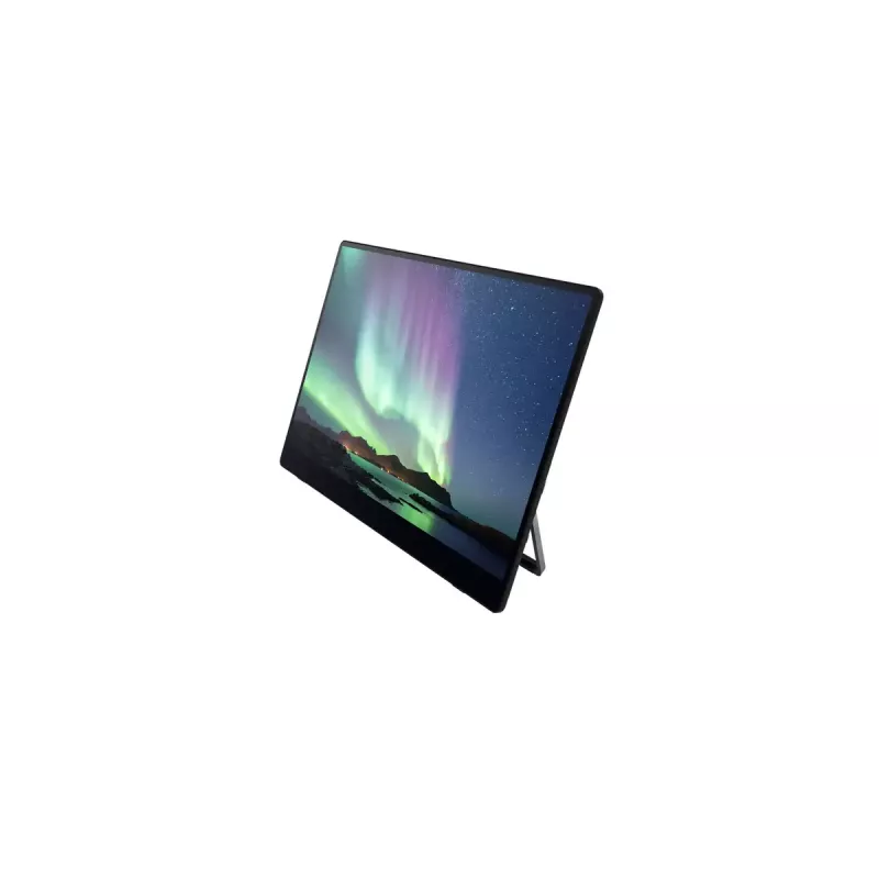 Pārnēsājamais monitors Ricoh Portable Monitor 150 15,6 collu LED 1920 x 1080