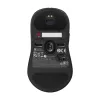 ZOWIE U2 pele Spēlēm Piemērota abām rokām RF Wireless Optiskā 3200 DPI