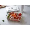 Box ZWILLING FRESH & SAVE Rectangular 2 L pelēka