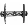 TV stiprinājums Reflecta 23141 152,4 cm (60 collas) melns
