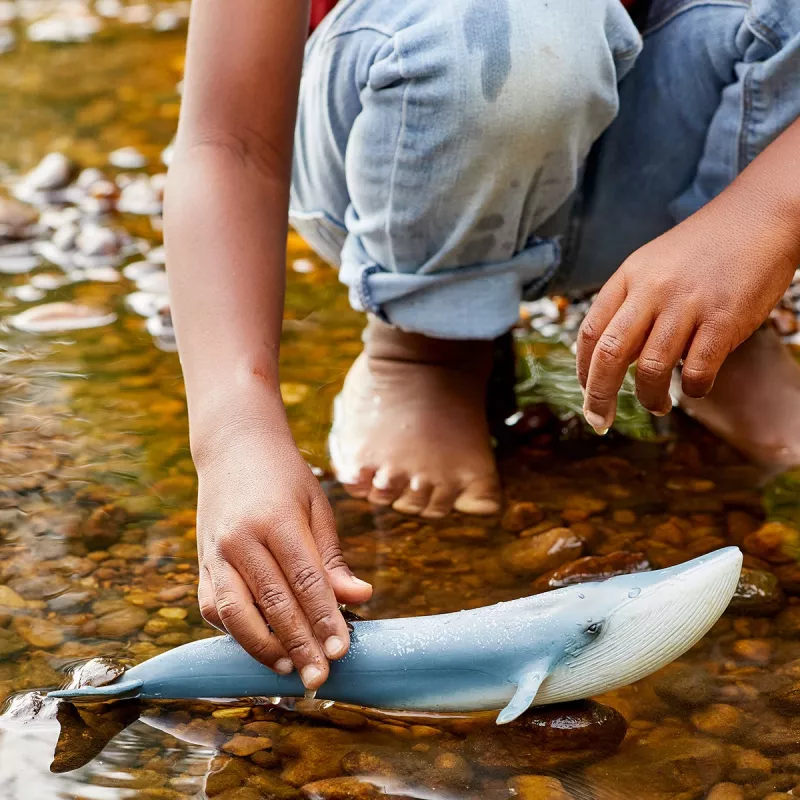 Figūra Schleich WILD LIFE Zilais valis