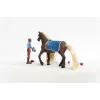 schleich HORSE CLUB Sofia’s Beauties iesācēju komplekts Leo & Rocky daudzkrāsains