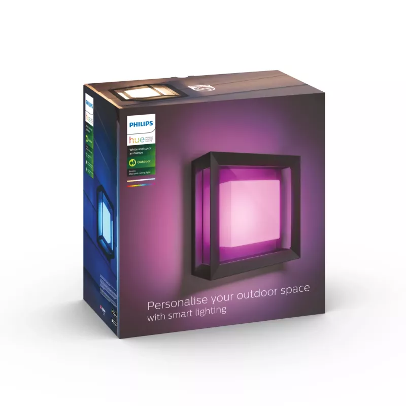 Smart wall light Philips Hue balta and colour ambience Econic Outdoor Wall Light
