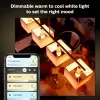 Viedā spuldze Philips Hue balta ambiance Candle E14, 5,2 W, Bluetooth/Zigbee, 39×39×117 mm