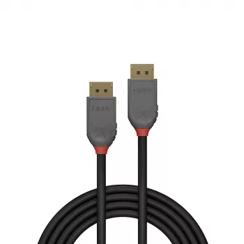 Lindy 0.5 m DisplayPort 1.4 kabelis, Anthra Line